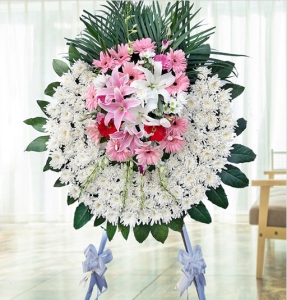 粸󵱷-ջʡٺϡҶͼƣֱ1ףԼΪ1.6<Ȧ>