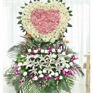 ȥ-ջõ塢ٺϡҶͼƣֱ1ףԼΪ1.8<Ȧ>