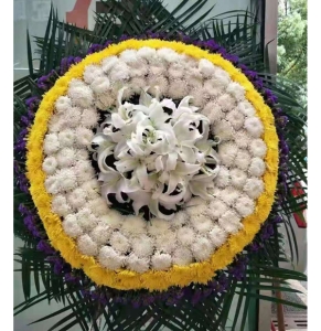 -ջٺϡҶͼƣֱ1ףԼΪ1.6<Ȧ>