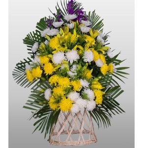 -ջٺϣɢβҶϣ»<Ứ>