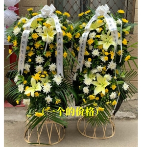 ȥӿ-ջ̫ٺϣɢβҶϣ˫»<Ứ>