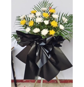 ɢ-ջɢβҶϣ»<Ứ>