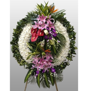 ɫ-ջٺϡҶͼƣֱ1ףԼΪ1.6<Ȧ>