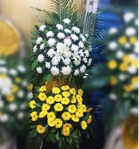 -ջٺϡɢβҶϣ˫»<Ứ>