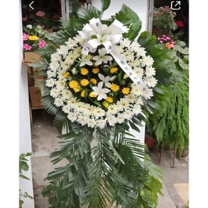 л-ջʣٺϣҶͼƣֱ1ףԼΪ1.6<˫Ȧ>