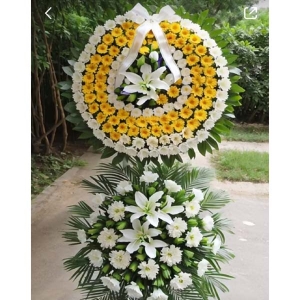 ƻ-ջʣٺϣҶͼƣֱ1ףԼΪ1.6<˫Ȧ>