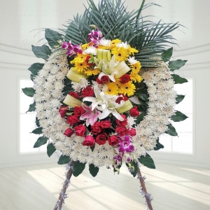 ˼-ջõ塢ٺϣҶͼƣֱ1ףԼΪ1.6<Ȧ>