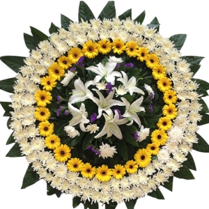 黳-ջʡٺϡҶͼƣֱ1ףԼΪ1.6<Ȧ>