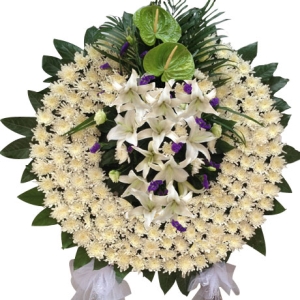 н˼-ջٺϡҶͼƣֱ1ףԼΪ1.6<Ȧ>