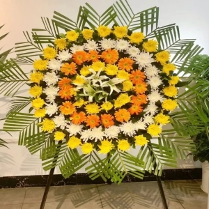 Զ-ջʡٺϡҶͼƣֱ1ףԼΪ1.6<Ȧ>